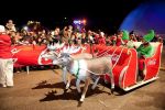 Coca-Cola_Xmas-Tour_2011-6-.jpg